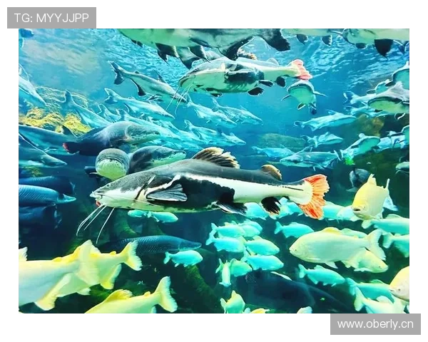 黄金岛探秘：揭秘隐藏在海洋深处的神秘宝藏与失落文明